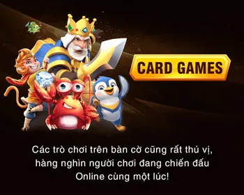 Quyền của người dùng Ricwin Code