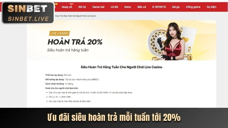 Tìm hiểu về các ưu đãi mới nhất của ricwin code